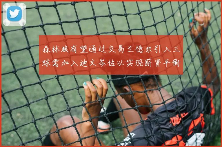 森林狼有望通过交易兰德尔引入三球需加入迪文岑佐以实现薪资平衡