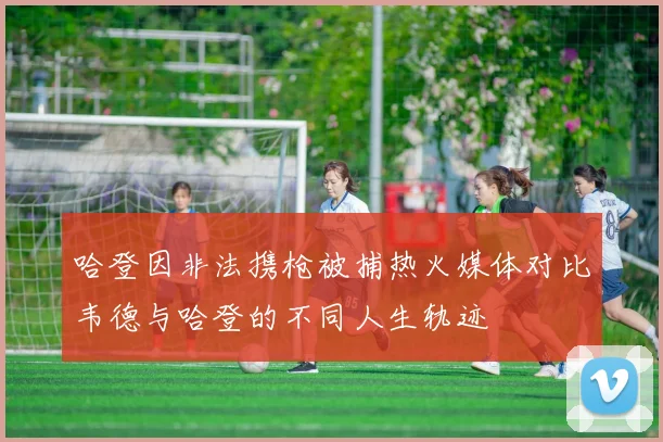 哈登因非法携枪被捕热火媒体对比韦德与哈登的不同人生轨迹